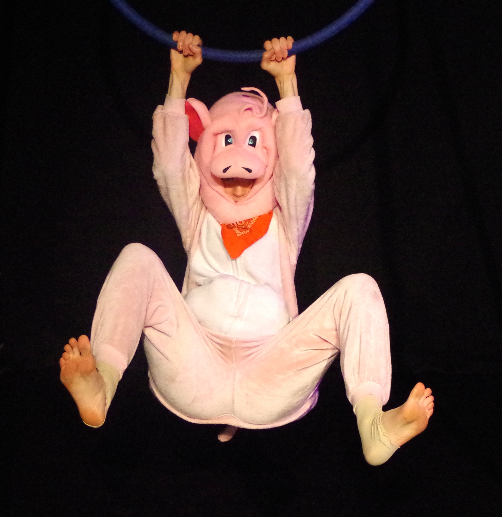 Au Telemac, à Nîmes : cochon